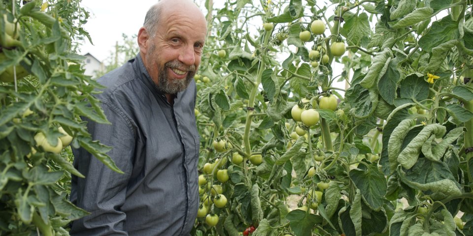 Gemüsezüchtung Dottenfelderhof